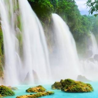 Beautiful nature summer wallpaper