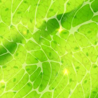 Plant cells wallpaper