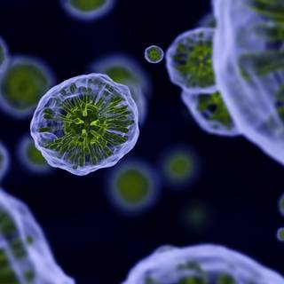 Plant cells wallpaper