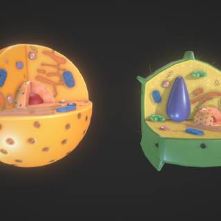 Plant cells wallpaper