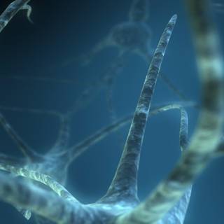 Plant cells wallpaper