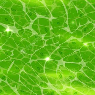 Plant cells wallpaper