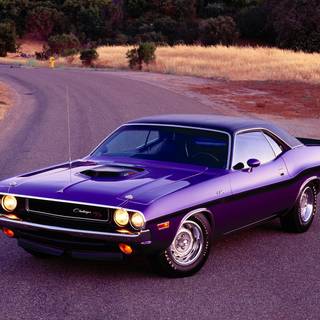 Dodge Challenger 1969 wallpaper