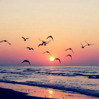 Beach 2023 wallpaper