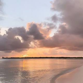 Beach 2023 wallpaper