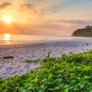 Beach 2023 wallpaper