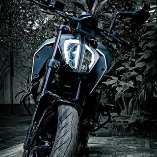 Bikes 2023 wallpaper