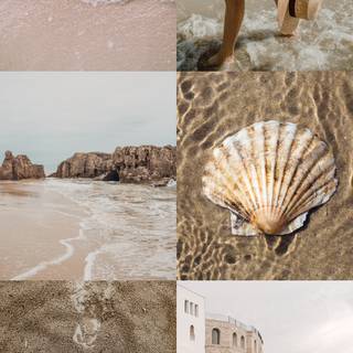 Beach 2023 wallpaper