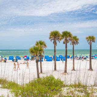 Beach 2023 wallpaper