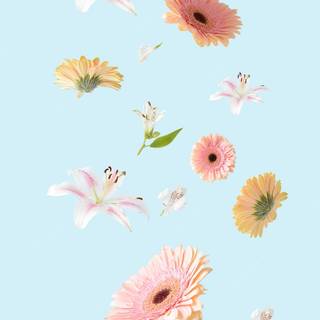 Aeshetic PC spring wallpaper