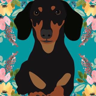 Dachshund dog wallpaper