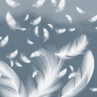 Blue feather wallpaper