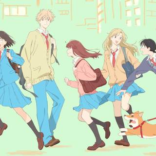 Skip to Loafer wallpaper