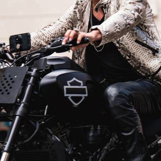 Fast X movie wallpaper