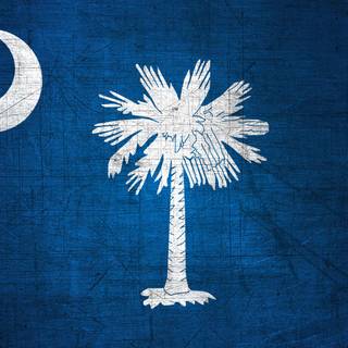 South Carolina flag wallpaper