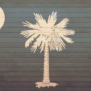 South Carolina flag wallpaper