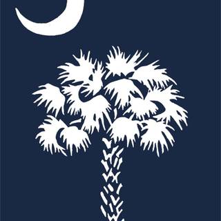 South Carolina flag wallpaper