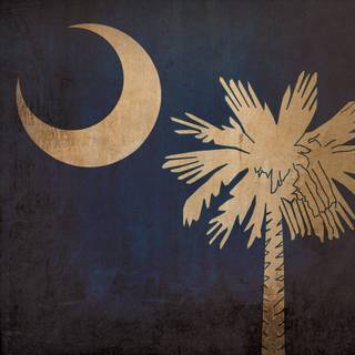 South Carolina flag wallpaper
