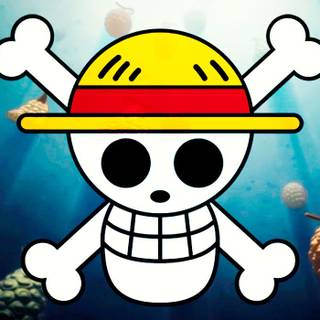 Devil Fruit One Piece wallpaper