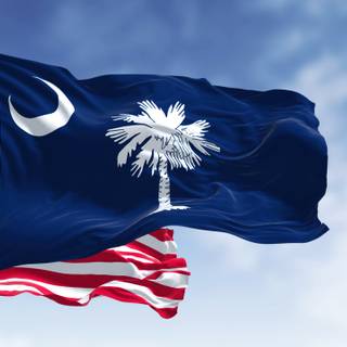 South Carolina flag wallpaper
