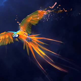 Beautiful parrots wallpaper