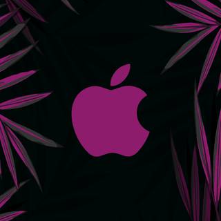 Apple aesthetic wallpaper