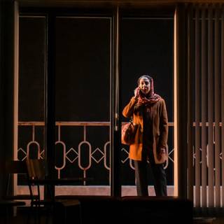 Sanaz Toossi wallpaper