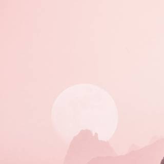 Summer iPhone 14 wallpaper