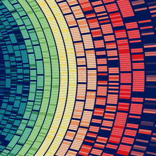 Risk management wallpaper