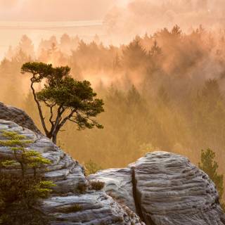 Mountaintop wallpaper