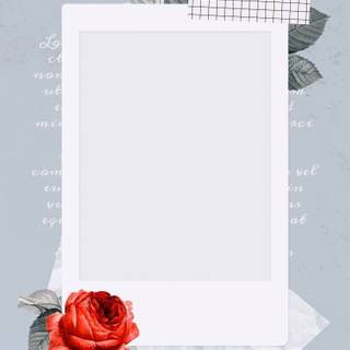 Instagram template wallpaper