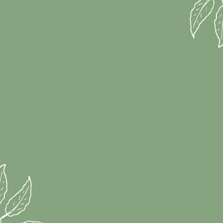 Instagram template wallpaper