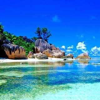 Summer lake scene wallpaper