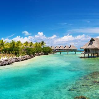 4K ultra summer wallpaper