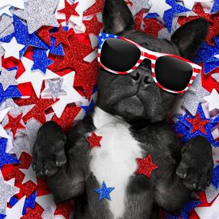 4th of July 2023 wallpaper