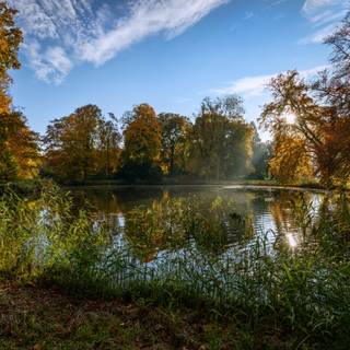 Summer Netherlands wallpaper