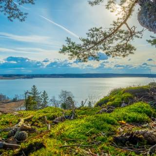 Summer Sweden wallpaper