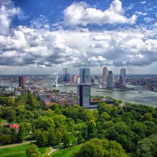 Summer Netherlands wallpaper