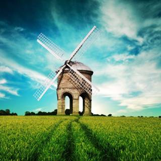 Summer Netherlands wallpaper