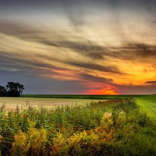 Summer Netherlands wallpaper