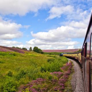 Summer train wallpaper