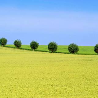 Summer Sweden wallpaper