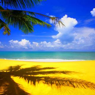 Cute summer time wallpaper