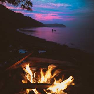 Summer bonfire wallpaper