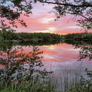 Summer Sweden wallpaper