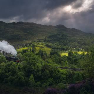 Summer train wallpaper