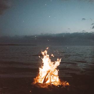 Summer bonfire wallpaper