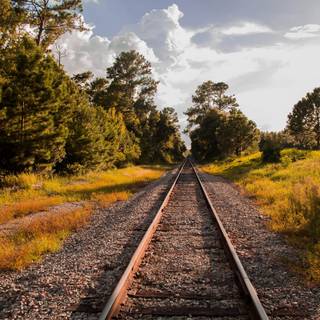 Summer train wallpaper