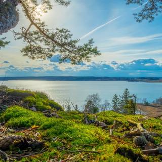 Summer Sweden wallpaper