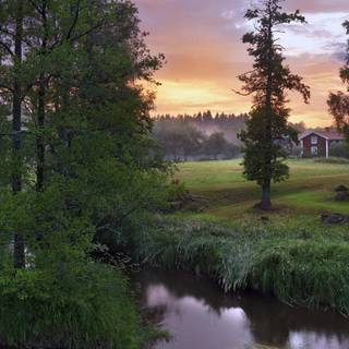 Summer Sweden wallpaper